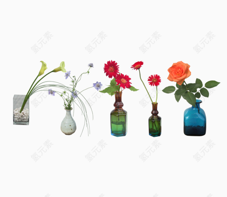 瓶装装饰花朵素材