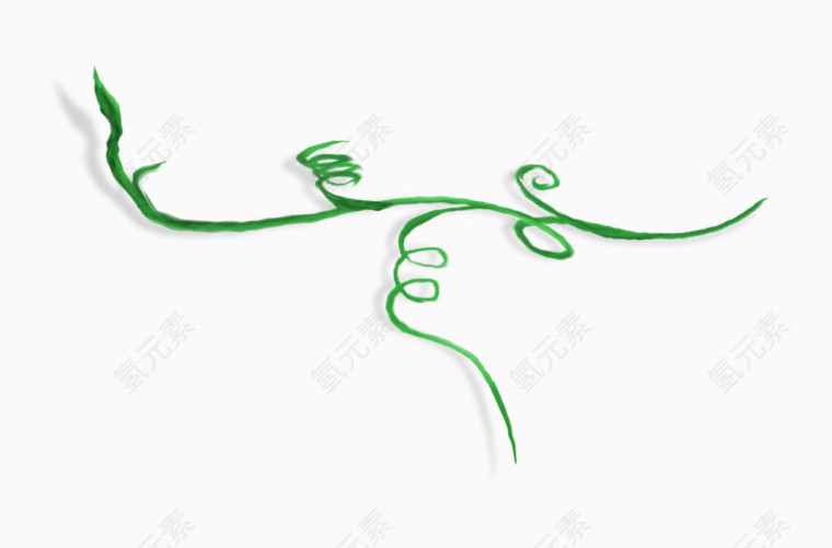绿色植物藤蔓丝带