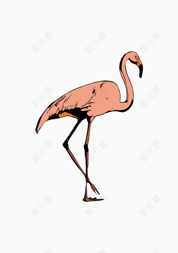 粉色的鹤