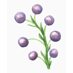 清新森系水彩紫色小果子