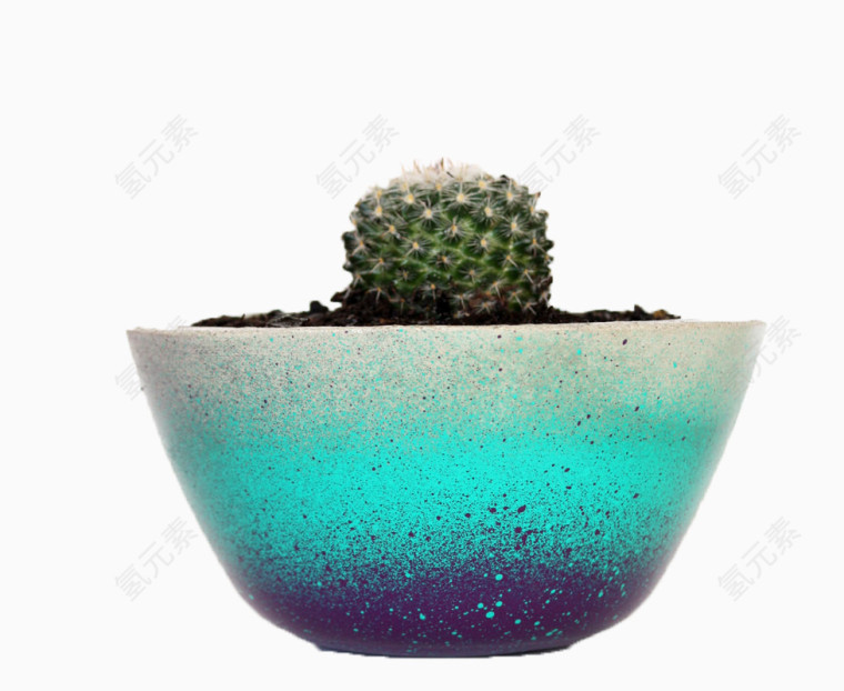 蓝色陶瓷花盆