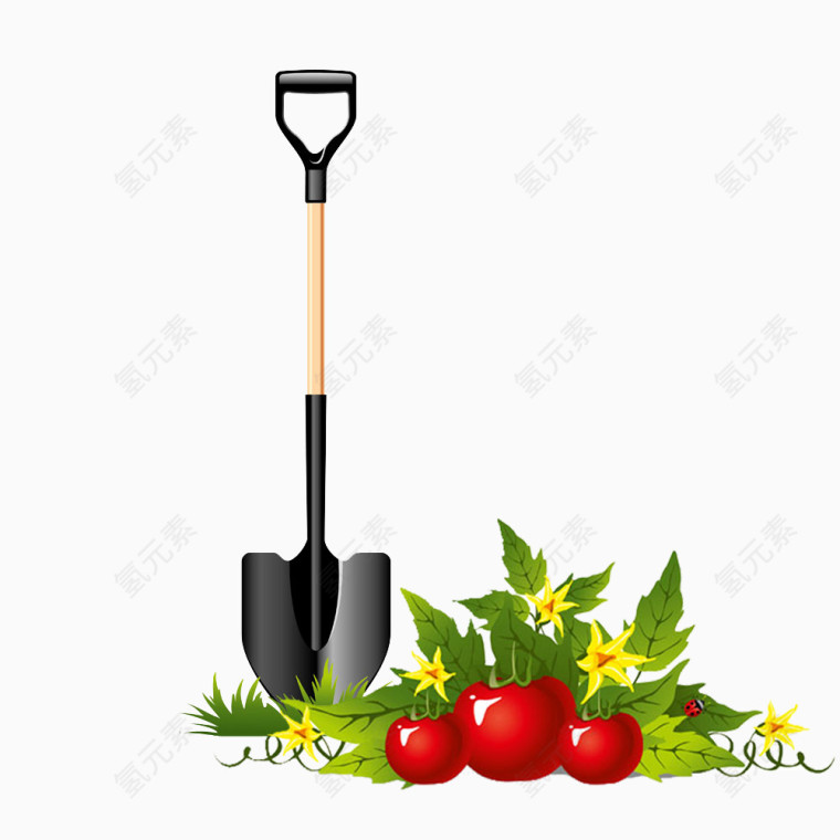 西红柿工具