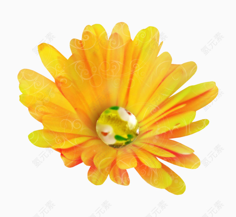 黄色小雏菊
