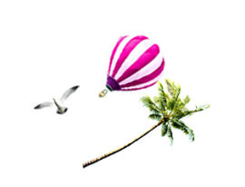 海鸥 气球 树