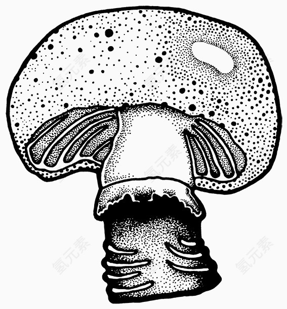 黑白线条蘑菇