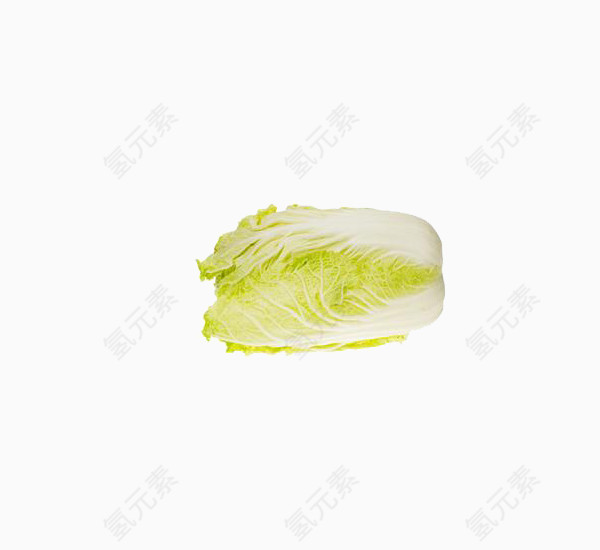 蔬菜白菜