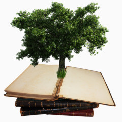 创意书本上的树木