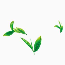 绿色健康茶叶