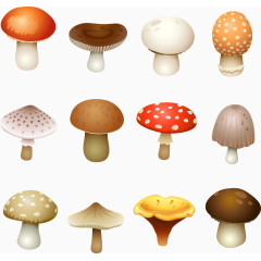 矢量彩色蘑菇