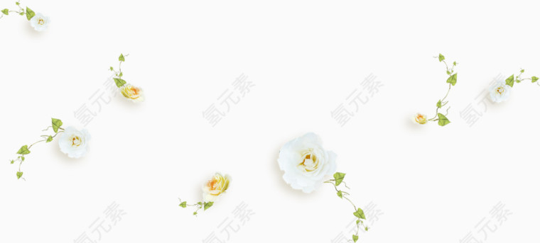 花卉png图片