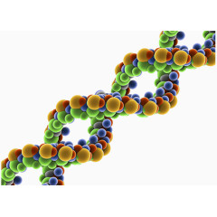 生物细胞分子结构