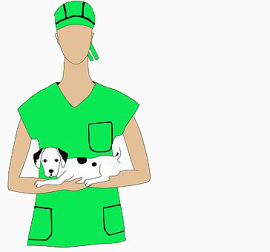 护士与狗狗