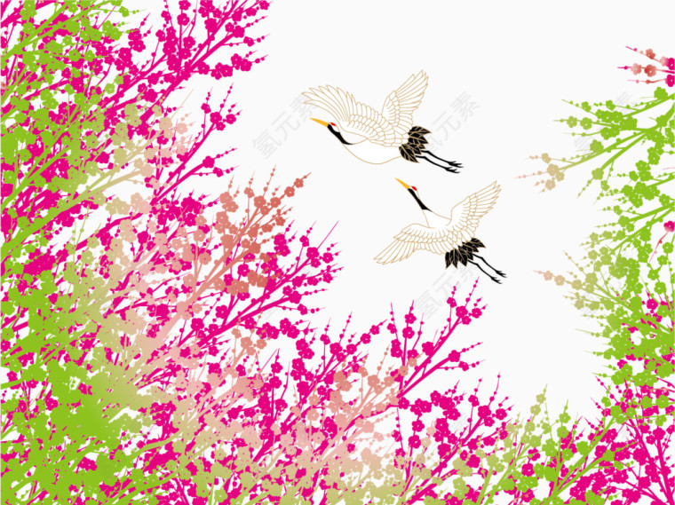 樱花树与白鹤