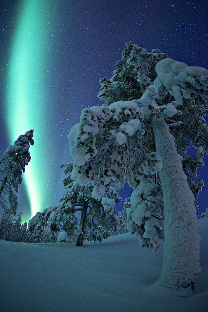 冰天雪地