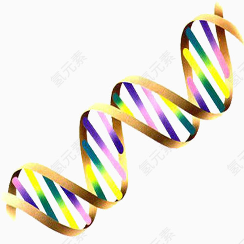彩色基因链条