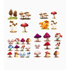 蘑菇集锦