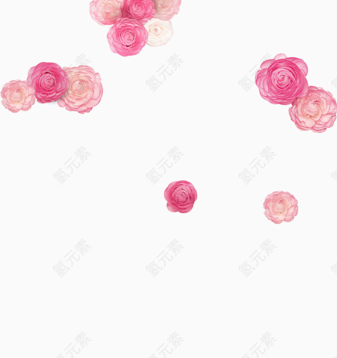 粉色花卉漂浮素材