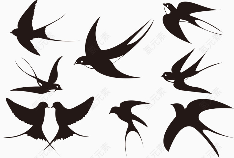 各种飞行姿势的燕子