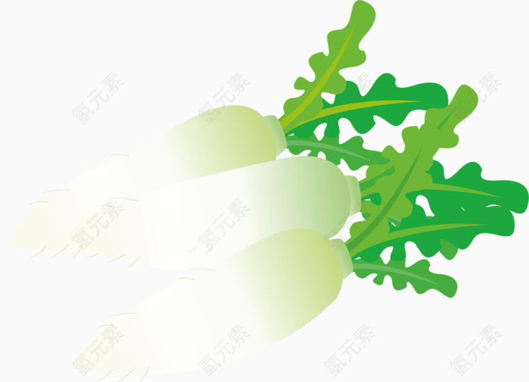 矢量白萝卜效果元素免抠素材