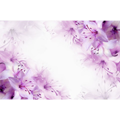 梦幻紫色花
