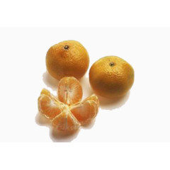 食物橘子