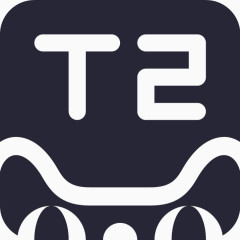 T2