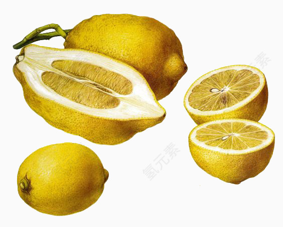 文艺复兴风格切开的柠檬