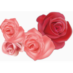 粉色玫瑰花海素材