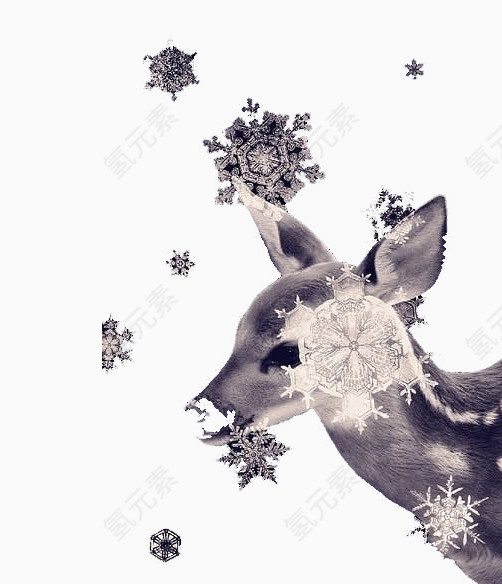 雪中的梅花鹿