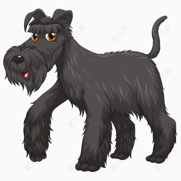 黑色宠物狗