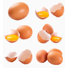 鸡蛋黄素材