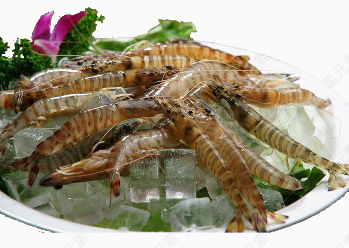 餐饮美食图片菜肴图片基围虾