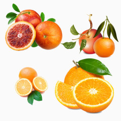 营养丰富的香橙