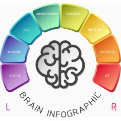 矢量创意大脑图表