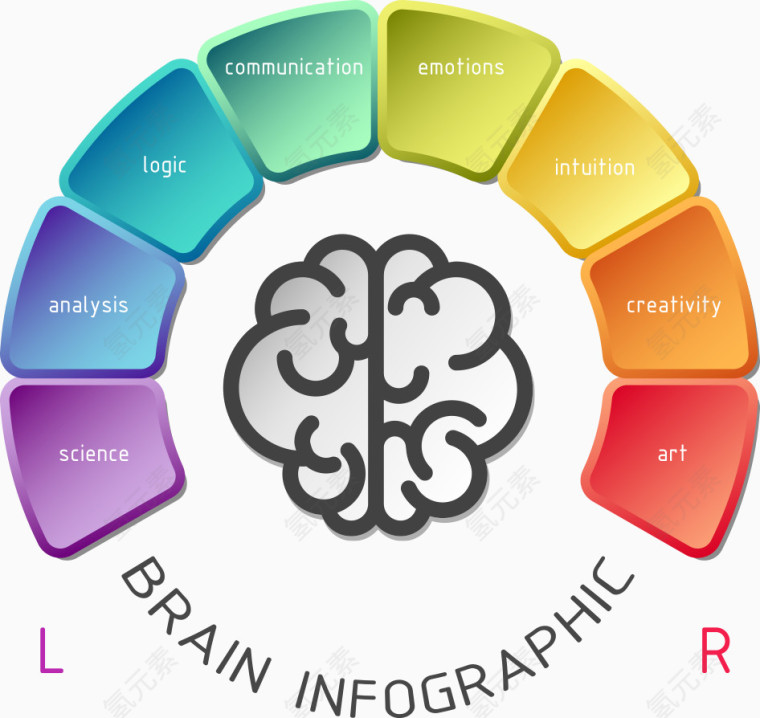 矢量创意大脑图表