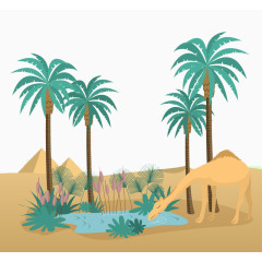 沙漠绿洲插画