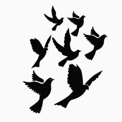 黑色象征自由飞翔的鸽子