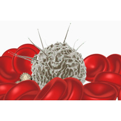 造血干细胞