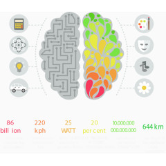 抽象图案大脑分类对比图