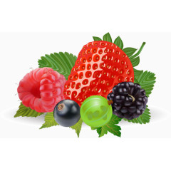 草莓树莓葡萄矢量图