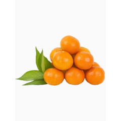 成熟的诱人橘子