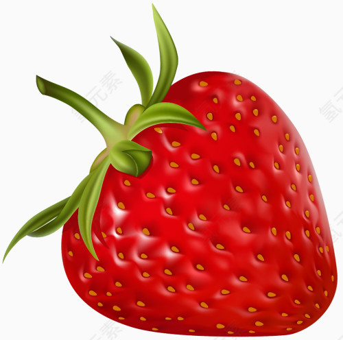 美味新鲜的草莓