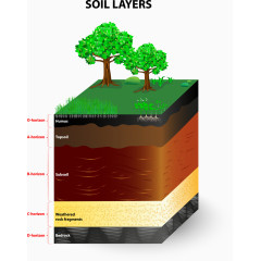 土壤层分析
