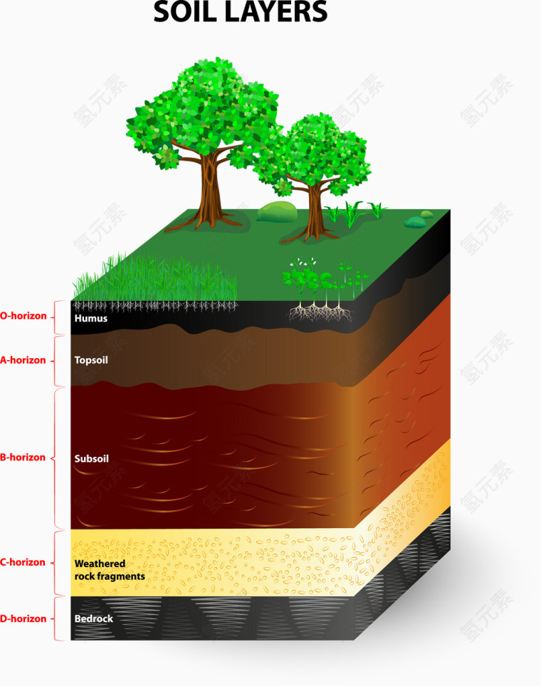 土壤层分析