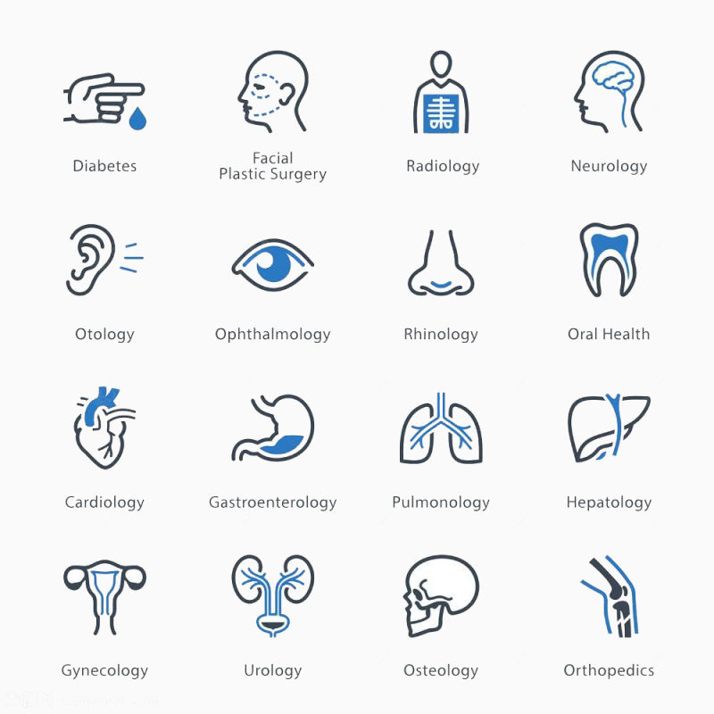 人体器官图标高清免扣素材下载