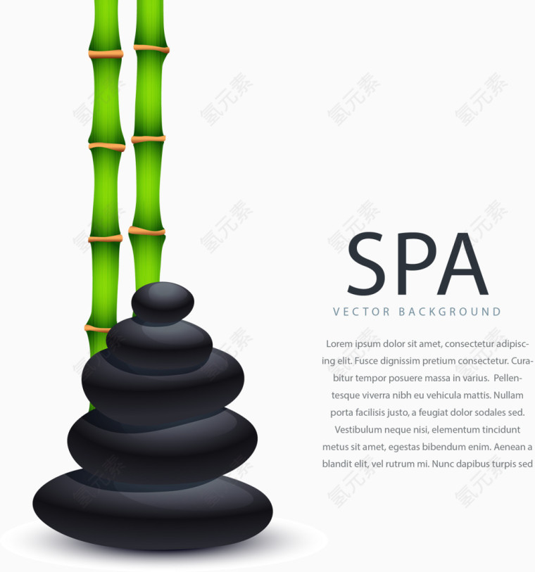 矢量手绘SPA