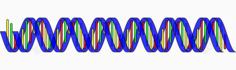 蓝色DNA双螺旋图形