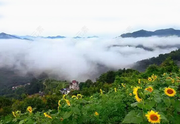 高山云海