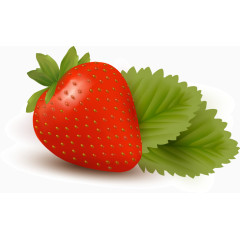 矢量逼真草莓