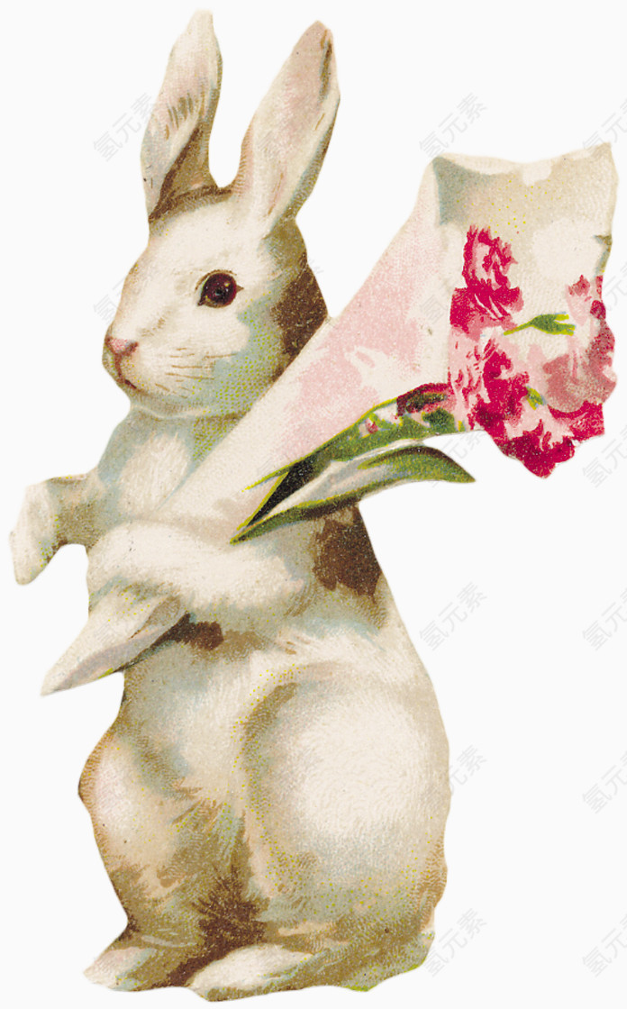 拿着花束的白兔
